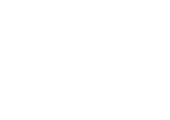 FirstPlan Logo